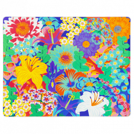PLANCHE À TOUT BOUQUET PYLONES PLANCHE À TOUT BOUQUET PYLONES