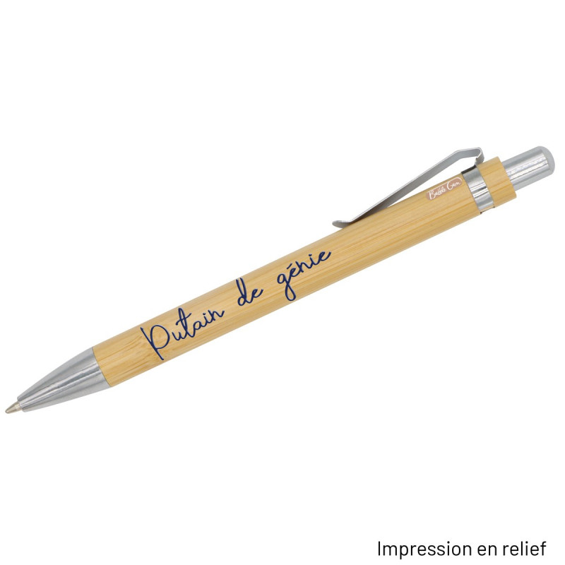 STYLO PUTAIN DE GENIE