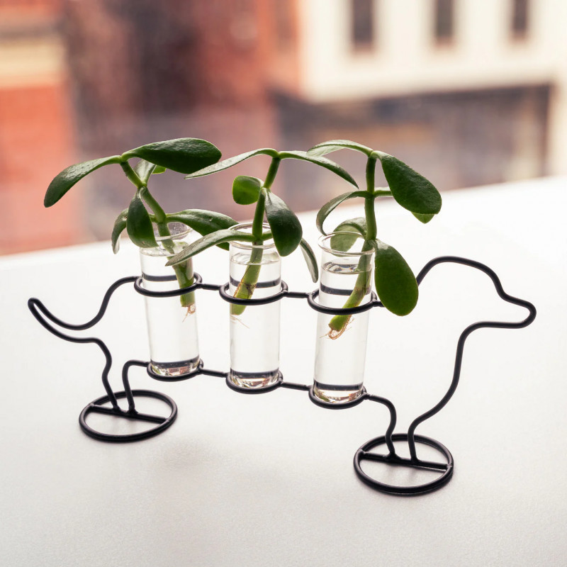 VASE TRIPLE TUBE DOGGY KIKKERLAND