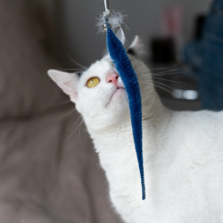 BAGUETTE MAGIQUE CHAT TEASER KIKKERLAND