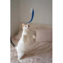 BAGUETTE MAGIQUE CHAT TEASER KIKKERLAND