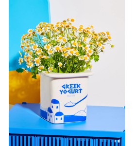 VASE POT YAOURT GREC FLUID MARKET