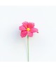 fleur en crochet