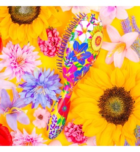 BROSSE A CHEVAUX LADYPOP LARGE PROVENCE PYLONES