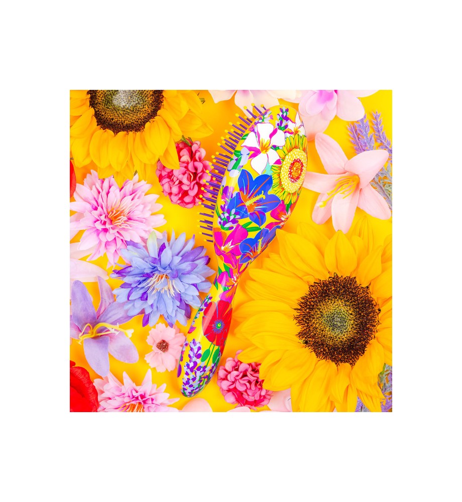 BROSSE A CHEVAUX LADYPOP LARGE PROVENCE PYLONES