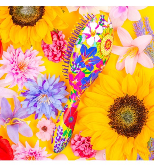 BROSSE A CHEVAUX LADYPOP LARGE PROVENCE PYLONES