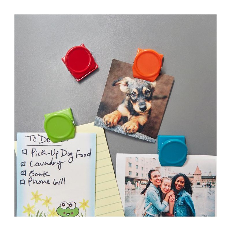 MAGNETS CLIPS