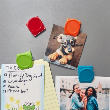 MAGNETS CLIPS