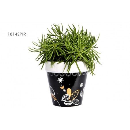 Cache pot spirit mandala