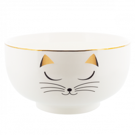 MATINAL SOUPE CHAT BLANC PYLONES