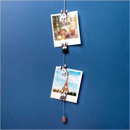 CABLE PHOTO+MAGNETS BOULEDOGUE PYLONES