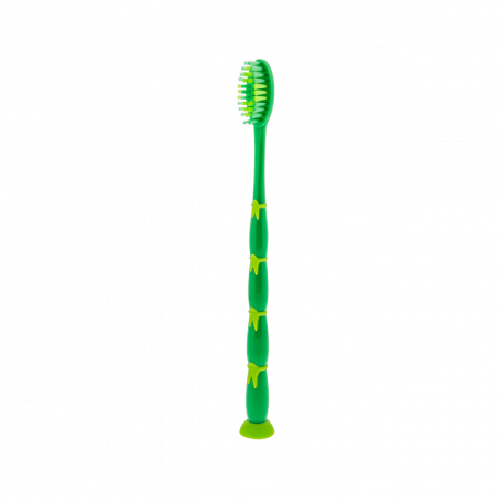 PANDASMILE BROSSE A DENTS GREEN PYLONES